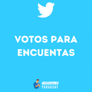 100 Votos para Twitter