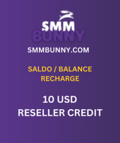Saldo - SMMBunny Wallet Recharge